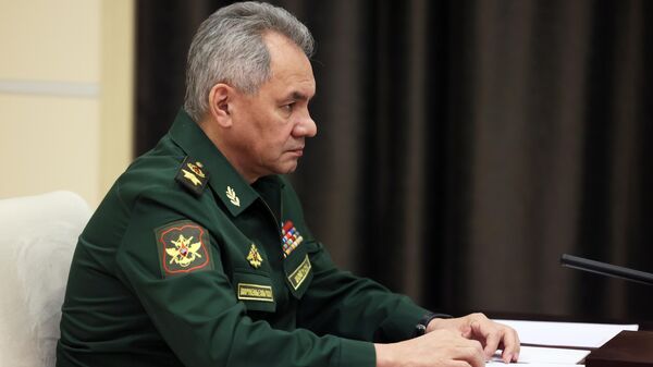Президент РФ В. Путин провел встречу с министром обороны РФ С. Шойгу - Sputnik Таджикистан