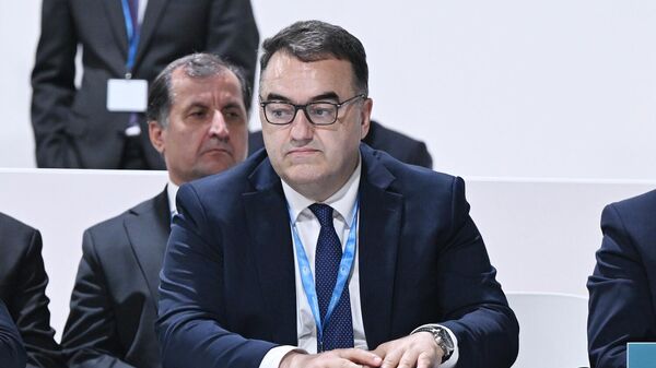 Далер Джума принял участие в круглом столе, посвященном финансированию климатической отрасли - Sputnik Таджикистан
